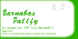 barnabas pallfy business card